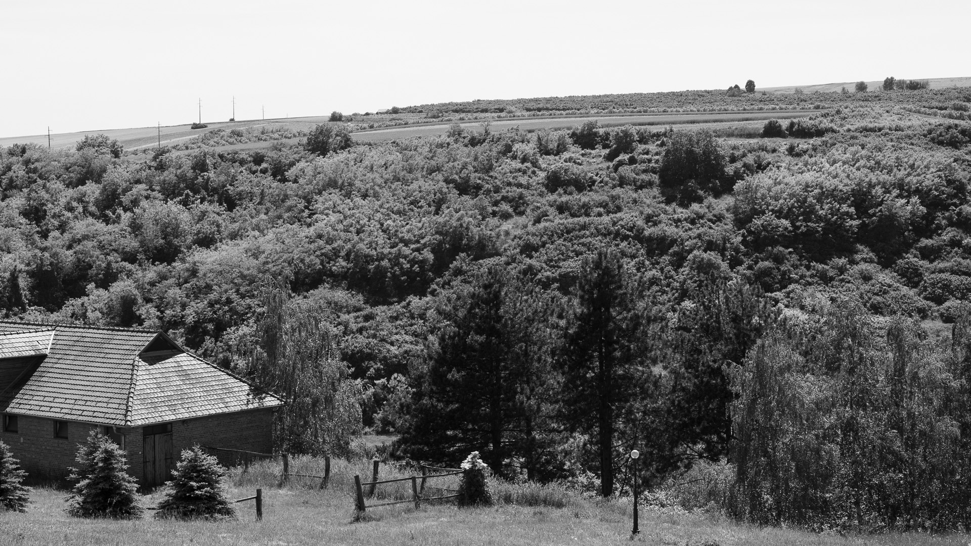 Memento umetnost pravljenja rakije